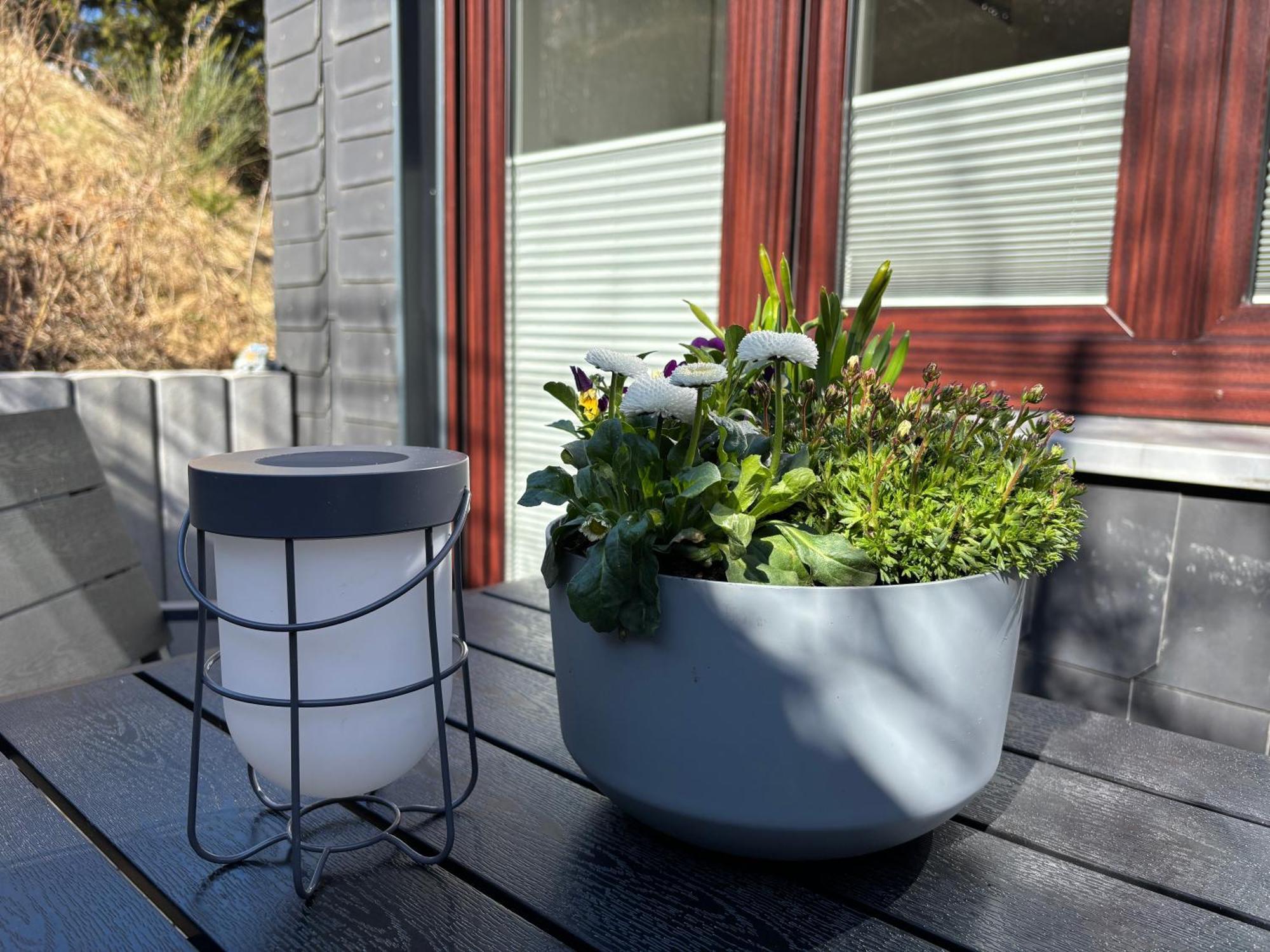 Dein Winterberg Apartment - Wifi Geschirrspueler Smart Tv Pokoj fotografie